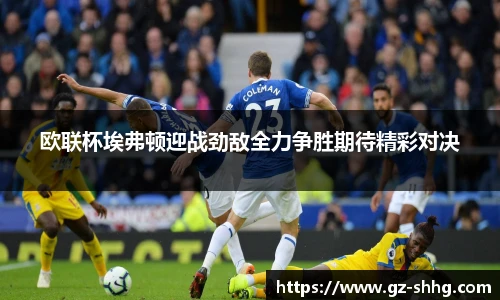 欧联杯埃弗顿迎战劲敌全力争胜期待精彩对决