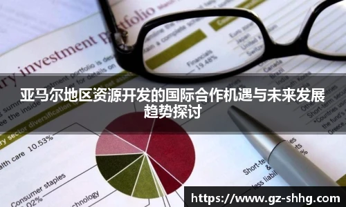 亚马尔地区资源开发的国际合作机遇与未来发展趋势探讨